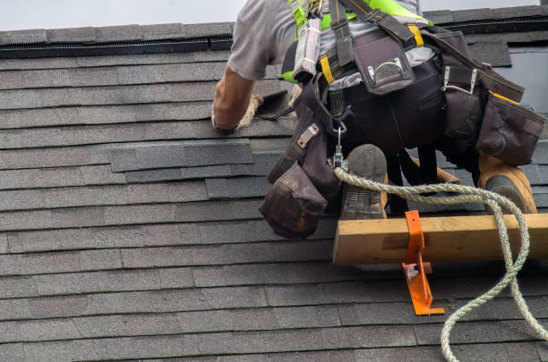 Best Storm Damage Roof Repair  in Cypress Quarters, FL
