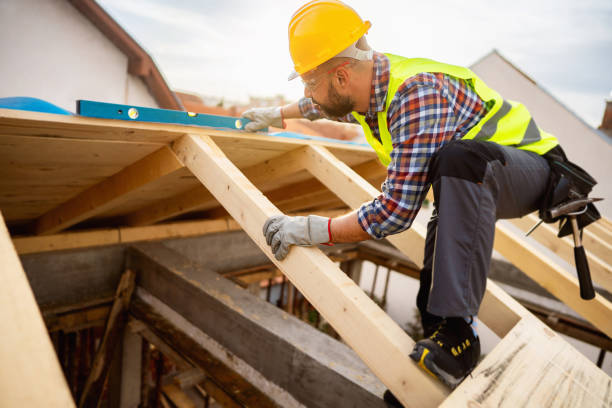 Best New Roof Installation  in Cypress Quarters, FL